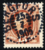 BERGFORS 25.7.1905  N33 